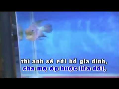 Karaoke Trích đoạn Tô Ánh Nguyệt   Le Thu Thao