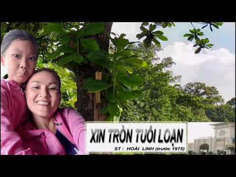Xin Tròn Tuổi Loạn (Song Ca)