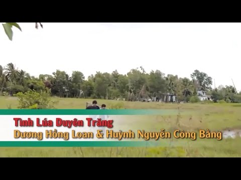 [Karaoke] Tình Lúa Duyên Trăng (SC) - Huỳnh Nguyễn Công Bằng_Dương Hồng Loan (Beat HD)