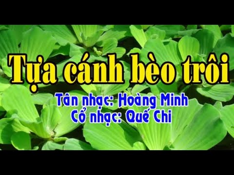 tân cổ TỰA CÁNH BÈO TRÔI 