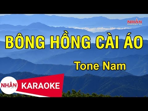 Bông Hồng Cài Áo (Karaoke Beat) - Tone Nam