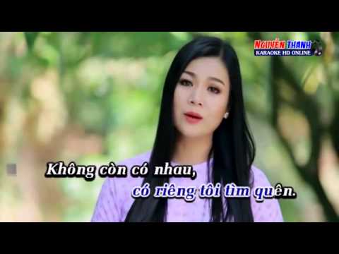 TAM SU DOI TOI    karaoke  Dương Hồng Loan   YouTube