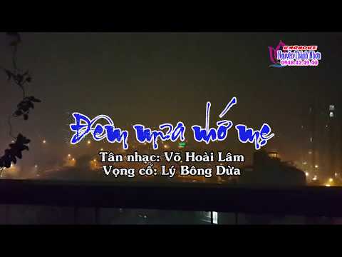 Karaoke tân cổ DÊM MƯA NHỚ MẸ - DÂY KÉP