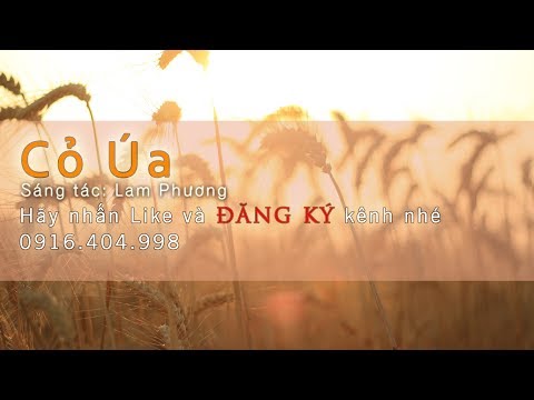 CỎ ÚA KARAOKE BEAT ACOUSTIC TONE NAM NỮ | MÈO Ú GUITAR