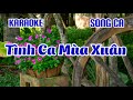 Tình Ca Mùa Xuân | The Minh sing ca cùng Đ T M