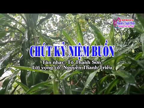 Karaoke tân cổ CHÚT KỶ NIỆM BUỒN - Song ca [T/g Nguyễn Thanh Triều]