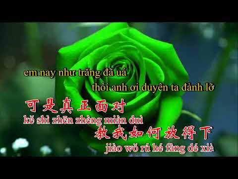 ☘️Nhạc Phim☘️❣️Nụ Hồng Mong Manh❣️⚜️8-4-2019⚜️Lâm Phong ft