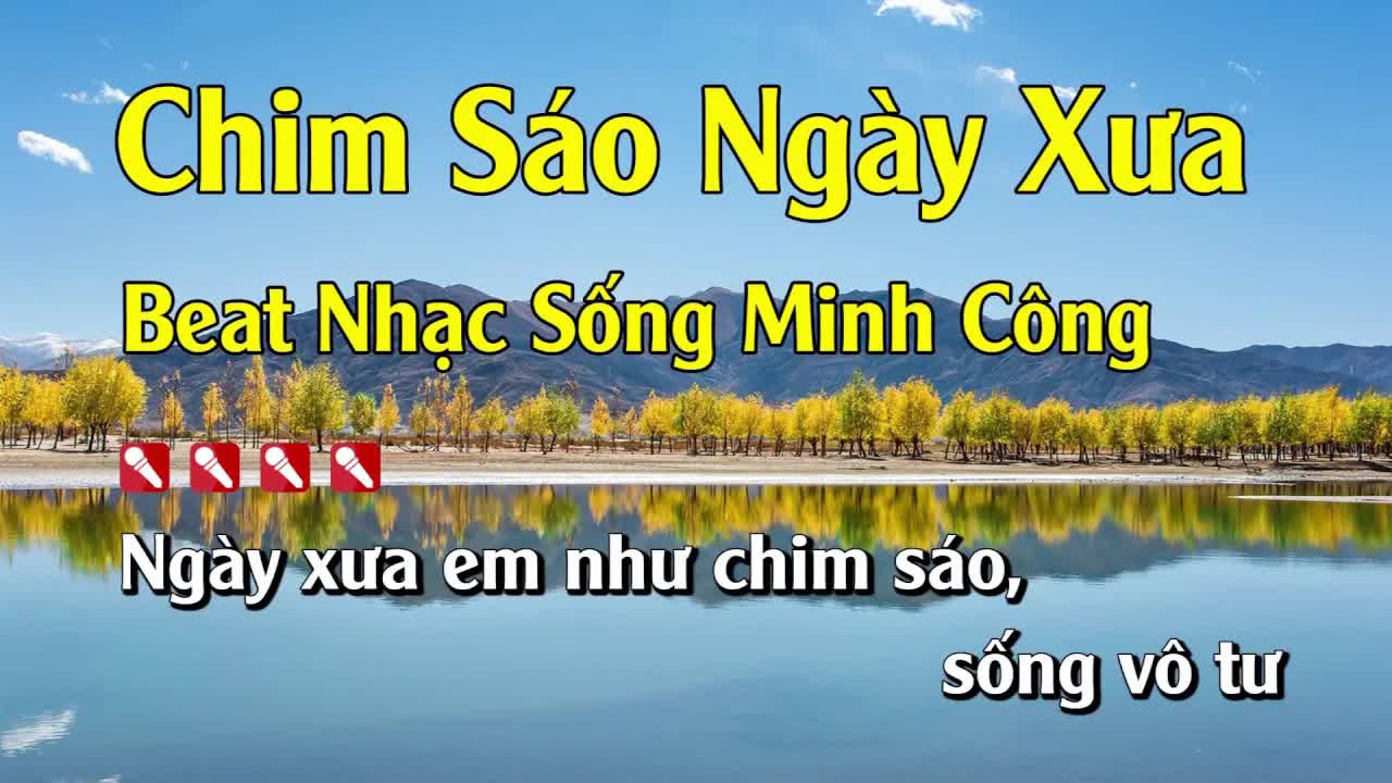 Karaoke Chim Sáo Ngày Xưa Hay Nhất - Tone Nam