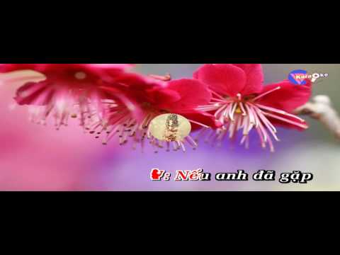 karaoke-ta tu trong dem-Thuy Tam(tone nu)