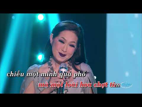 Karaoke | LK Bài Không Tên Số 8 & Chiều Một Mình Qua Phố (Quang Dũng & Ý Lan)