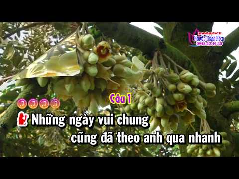 Karaoke tân cổ MÙA SẦU RIÊNG - SONG CA