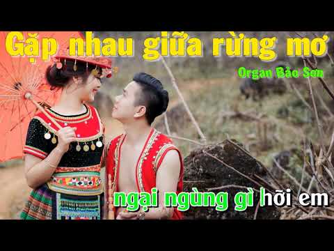 [ KARAOKE ] Gặp Nhau Giữa Rừng Mơ  - Song ca nam nữ 2019