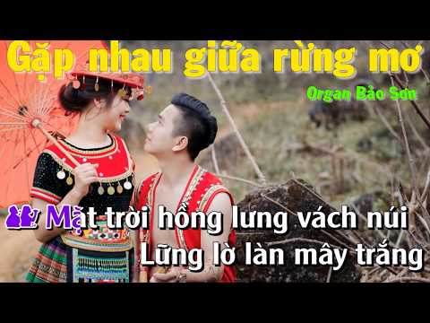 Gặp Nhau Giữa Rừng Mơ -  Phương Thảo ❤️ Xuân Đức