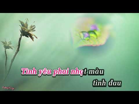 Tình khúc chiều mưa - NS Nguyễn Ánh 9