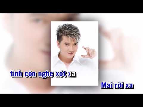 Tình Ơi Xin Ngủ Yên   Đàm Vĩnh Hưng KARAOKE FULL BEAT